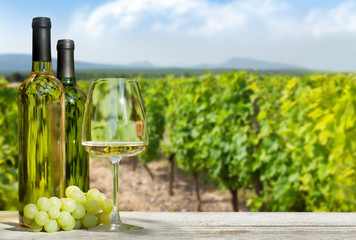 Obraz na płótnie Canvas Colorful grapes in basket, white wine