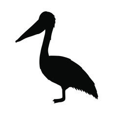 Vector black pelican silhouette isolated on white background