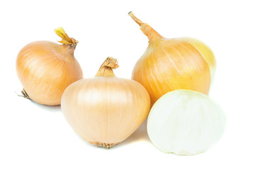 onion on a white background