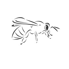 Vector of honey on a white background, Animal. insect. Easy editable layered  illustration. symbol. logo. icon