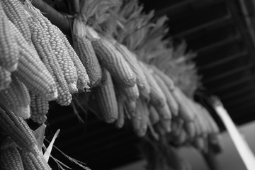 軒先に干されたトウモロコシ