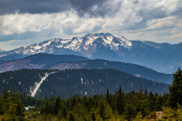 Fototapeta premium Marmarosh range in the Carpathian mountains in Ukraine