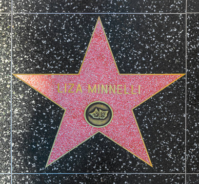 Liza Minellis star on Hollywood Walk of Fame