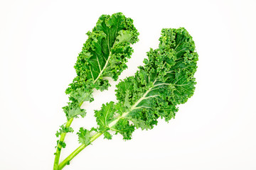 Kale leaves on white background. Green Dwarf Curly kale queen of vegetable. Vegetarian food. Food Concept.