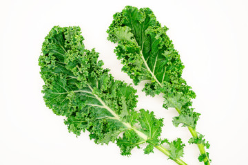 Obraz premium Kale leaves on white background. Green Dwarf Curly kale queen of vegetable. Vegetarian food. Food Concept.