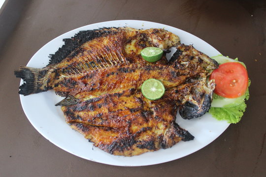 Grilled fish with vegetables on a white plate