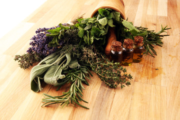 Fresh herbs from the garden and the different types of oils for massage and aromatherapy on table...