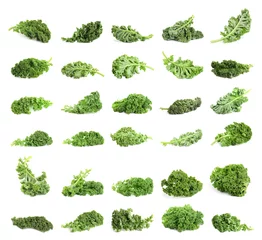 Poster Set of fresh green kale leaves on white background © New Africa
