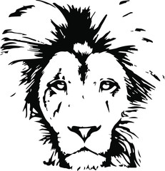 Hand drawn lion head. Vector isolated on a transparent background