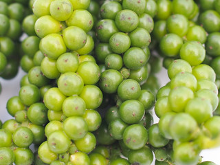 Close-up green fresh pepper seeds background.