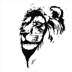 Hand drawn lion head. Vector isolated on a transparent background