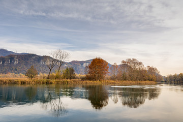 riflessi autunnali sul fiume