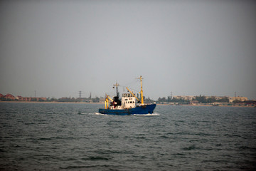 Ukraine, Sea of Azov, industrial fishing, Azov goby