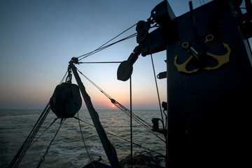 Ukraine, Sea of Azov, industrial fishing, Azov goby