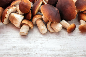 Gourmet fungi boletus edulis on wooden table with copyspace, fresh porcini mushrooms