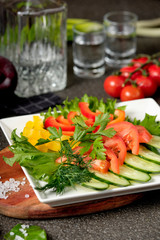 Assorted fresh vegetables - cucumber, tomato, pepper and herbs in white bowl plate. Set of vegetables snacks for alcohol vodka. Close up, selective focus.