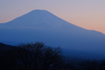 Fototapeta premium 富士夕景