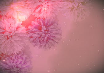 Beautiful abstract color purple and pink flowers on lightning background and orange flower frame and pink leaves texture, colorful flowers banners valentine