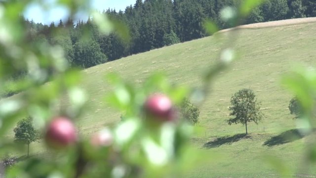 M&uuml;hlviertel Landschaft