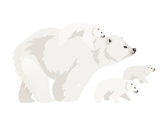 Polar bear family flat color vector illustration. Northern wild adult creature walking cubs. Marine mammal mother with baby. Arctic animal isolated cartoon characters on white background
