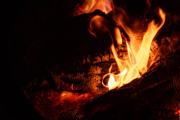 Fototapeta premium fire in fireplace