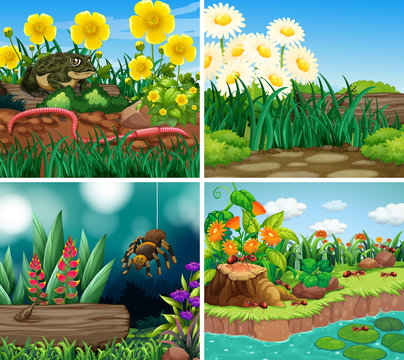 Set of background scene with nature theme