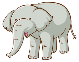 Gray elephant on white background