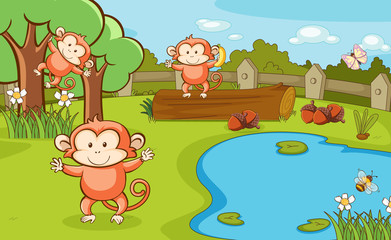 Scene with three monkeys in the park