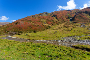 The upper course of the Mur (Mura) River in Austrian Alps