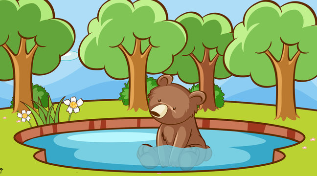 Scene with cute bear in water
