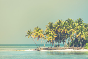 Nature tropic background in vintage style. Exotic landscape of paradise island beach, palm trees over coral reef and peaceful blue sea