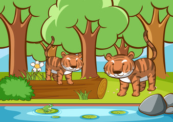 Obraz na płótnie Canvas Scene with tigers in the forest