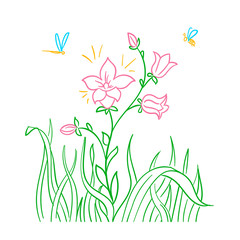 blooming flower illustration