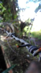 Macro shot of fence with heavy background blur