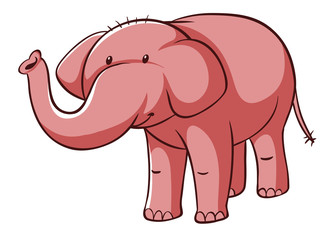 Isolated picture of pink elephant