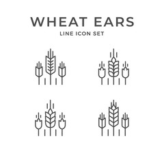 Set line icons of wheat ears