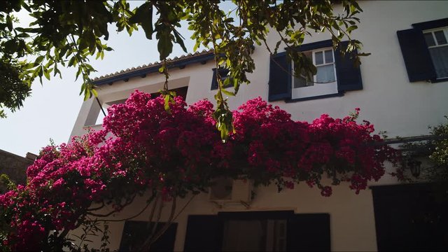 Bonita Casa Blanca y azul en la isla de Grecia, con flores moradas en su fachada en un d&iacute;a de sol