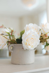 Obraz na płótnie Canvas closeup of white rose in pot