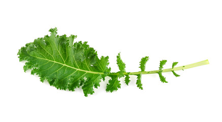 Fresh organic green kale leaves isolated on white background