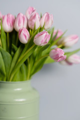 Fresh pink tulip flowers bouquet . View with copy space
