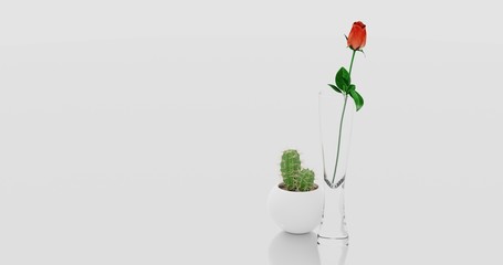 Realistic rose inside a glass vase with a potted cactus isolated on a reflective mirror surface in front of white background with copy space. 3D illustration.