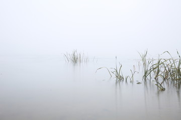 riverbank in the morning in the fog
