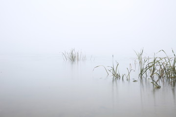 Obraz premium riverbank in the morning in the fog