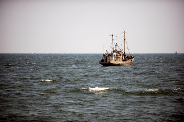 Obraz premium Ukraine, Sea of Azov, industrial fishing, Azov goby