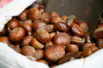 New harvest of chesnuts on market