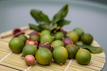 Group of ripe macamadia nuts in green and brown shell and leaves of macadamia tree