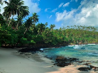 tropical beach in sri lanka
