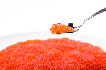 red caviar on a spoon on white background with copy space