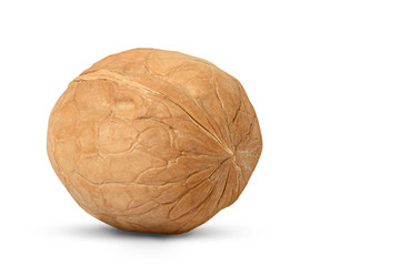 Walnut close-up on a white background, natural vegetarian food