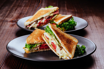 Sandwich bread tomato, lettuce and yellow cheese for breakfast